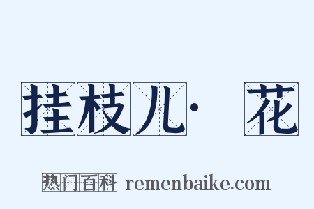 挂枝儿·花是什么意思的图片